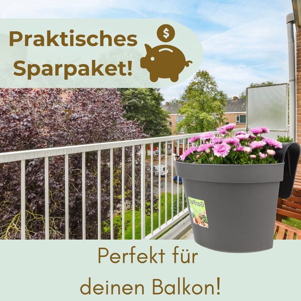 Balkon mit Balkonkasten und Blumen, im Hintergrund ein Wohngebiet. Angebot: Praktisches Sparpaket, perfekt für den Balkon.