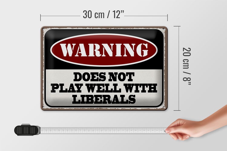 Blechschild Spruch 30x20cm Warning does not play well with