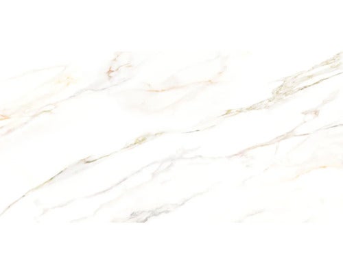 Wand- und Bodenfliese Cava lusso 60x120 cm