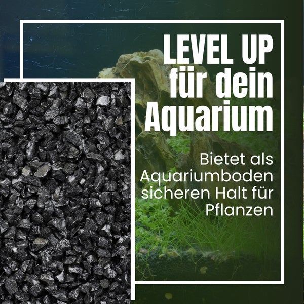 Aquarienkies bietet sicheren Halt für Pflanzen.