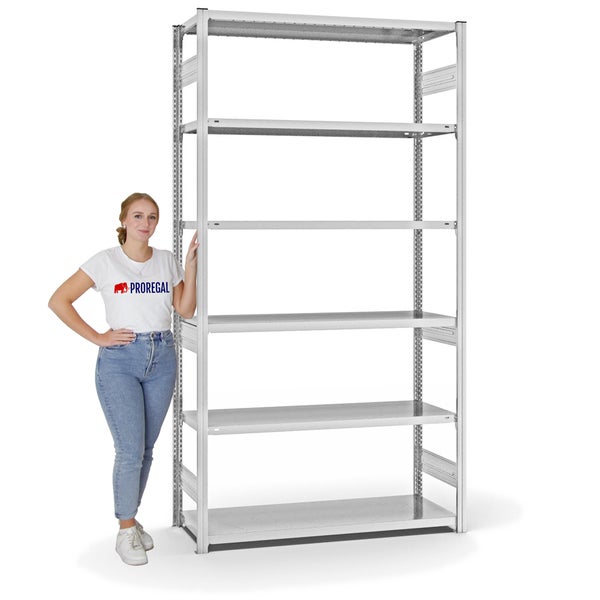 PROREGAL Fachbodenregal Stecksystem T-Profil Medium-Duty Grundregal HxBxT 250 x 130 x 50 cm 6 Ebenen Fachlast 230 kg Beidseitig Nutzbar Lichtgrau