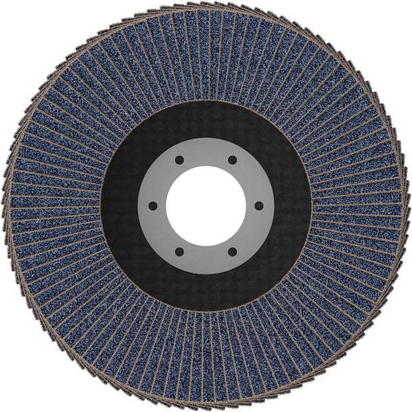 Lamellenschleifscheibe