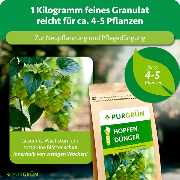Bio Hopfen Dünger von Purgrün, 1 Kilogramm feines Granulat für circa 4 bis 5 Pflanzen, für gesundes Wachstum bei Neupflanzung und Pflege.