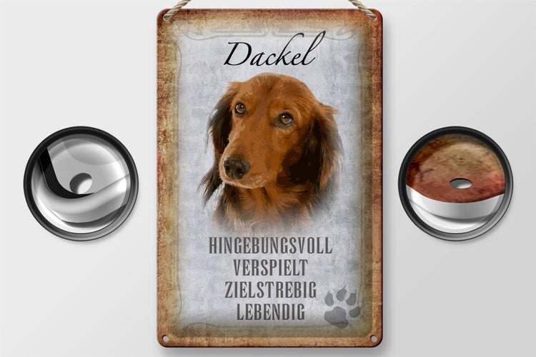 Blechschild Spruch 20x30cm Dackel Hund lebendig Schild