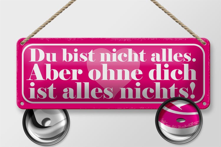 Blechschild Spruch 27x10cm du bist nicht alles aber ohne Dekoration