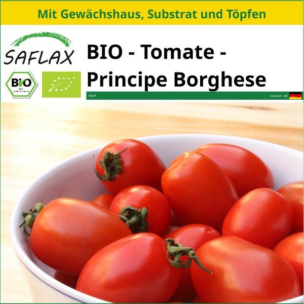 SAFLAX Anzucht Set - BIO - Tomate - Principe Borghese - Solanum lycopersicum - 10 Samen - Mit Mini-Gewächshaus, Anzuchtsubstrat und 2 Töpfen