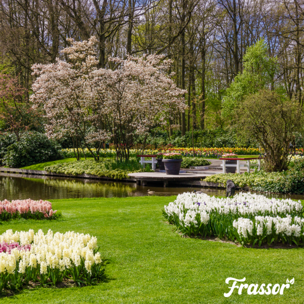 Blumenpark mit Teich, Bäumen und Blumenbeeten