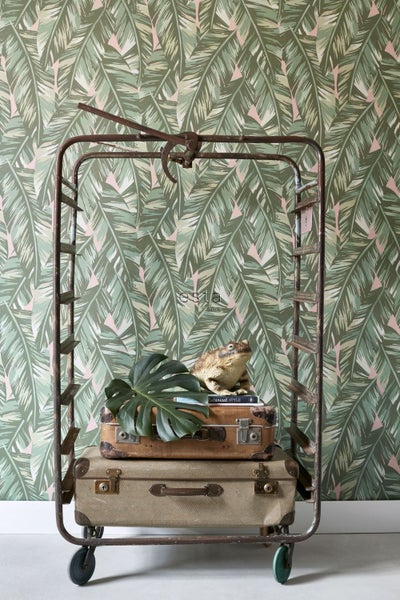 Dekorative Szene mit Trolley, Koffern, Froschfigur und tropischer Blättertapete