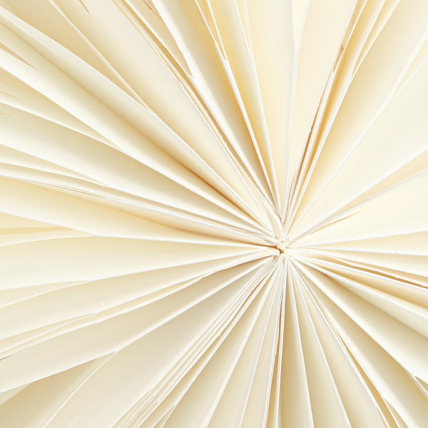 Nahaufnahme einer radialen Anordnung von Papierfächern