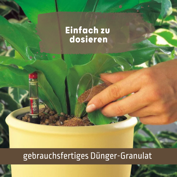 Blusana Langzeitdünger 1 Liter Lewatit HD 50 für Zierpflanzen in Hydrokultur Vorteilspaket (2 x 500 ml Dose)