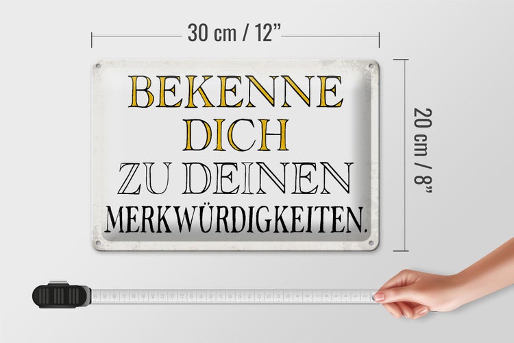 Blechschild Spruch 30x20cm bekenne dich Merkwürdigkeiten