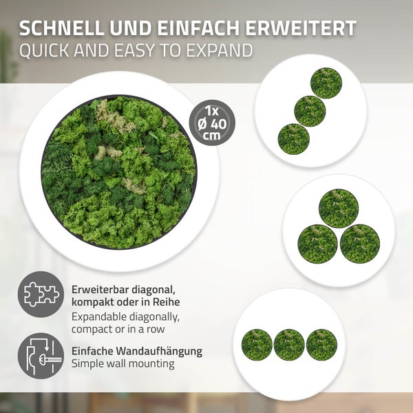 Rundes Moosbild mit 40 Zentimeter Durchmesser, erweiterbar in verschiedenen Anordnungen zur Wanddekoration mit einfacher Wandmontage.