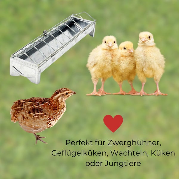 Futtertrog Metall Küken verzinkt 50 cm Gitter