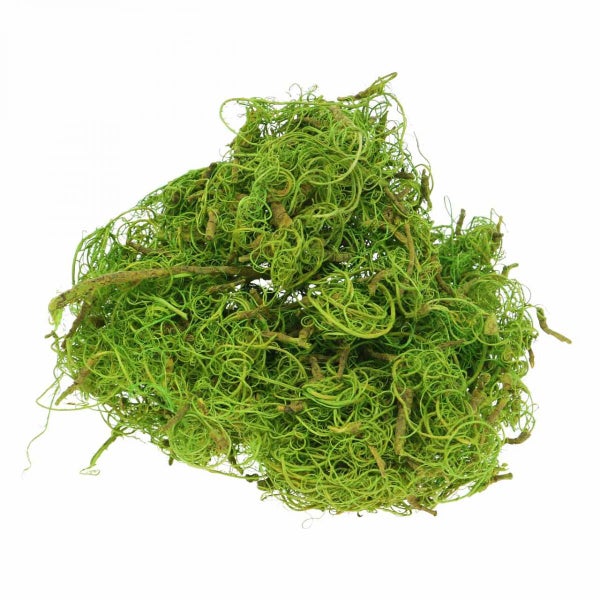 Grünes Deko-Moos für Floristik und Bastelarbeiten, Naturmaterial.