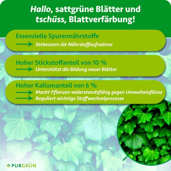 Purgrün Dünger Infografik: Vorteile von Spurennährstoffen, 10 Prozent Stickstoff und 6 Prozent Kalium für gesunde grüne Blätter.