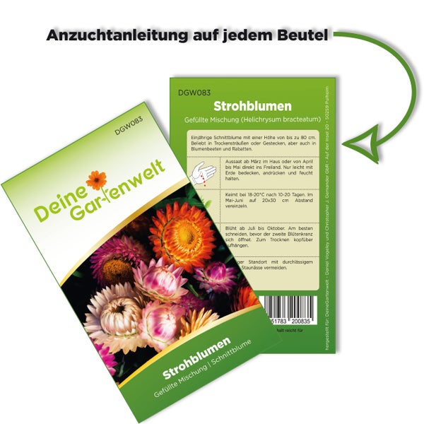 Samentüte für Strohblumen von Deine Gartenwelt mit Anzuchtanleitung auf der Rückseite und Foto auf der Vorderseite.