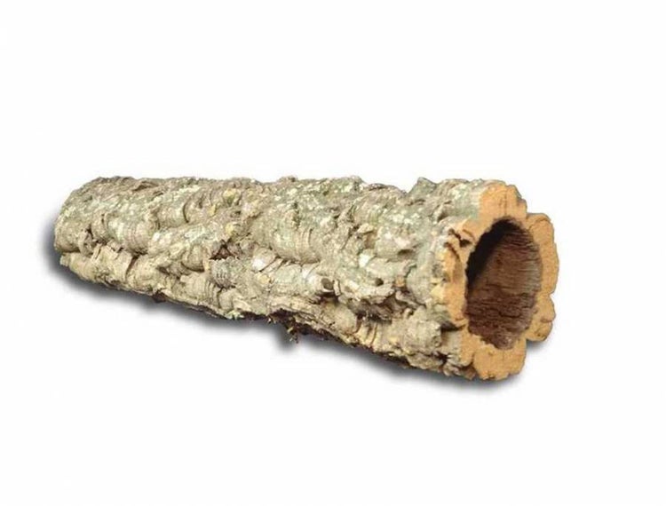 Korkröhre als Dekoration für Terrarien aus natürlicher Korkrinde.