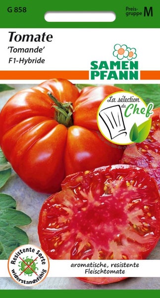 Tomatensamen Tomande F1-Hybride, Samenfirma Pfann