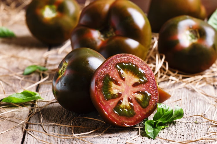 SAFLAX  - BIO - Tomate - Black Cherry - Solanum lycopersicum - 10 Samen - Mit keimfreiem Anzuchtsubstrat