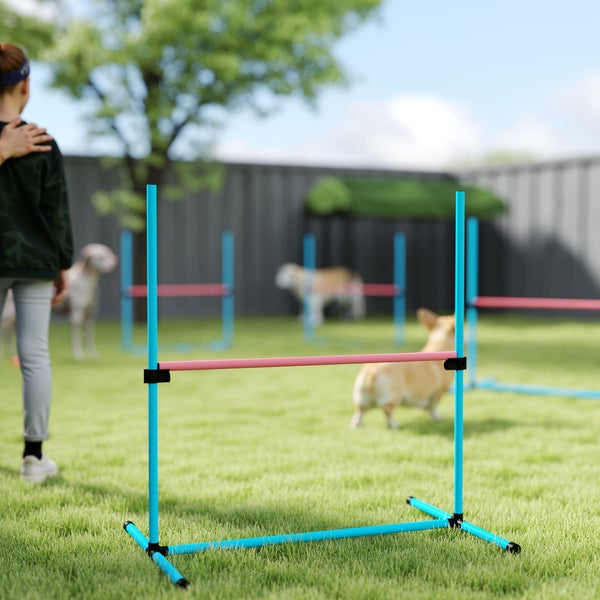 Hell gestalteter Garten mit Hunden und einer Person beim Agility-Training mit verstellbaren Hürden aus Kunststoff auf einer Rasenfläche.