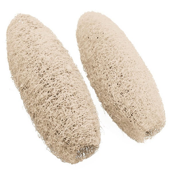 Zwei Badeschwämme aus Luffa