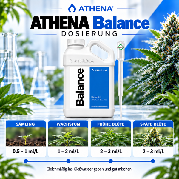 Athena Balance Pflanzendünger Kanister mit Dosiertabelle für verschiedene Wachstumsphasen von Sämling bis zur späten Blüte.