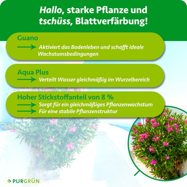 Infografik von Purgrün: Guano für Bodenleben, Aqua Plus zur Wasserverteilung und acht Prozent Stickstoff für Pflanzenwachstum. Purgrün Logo.