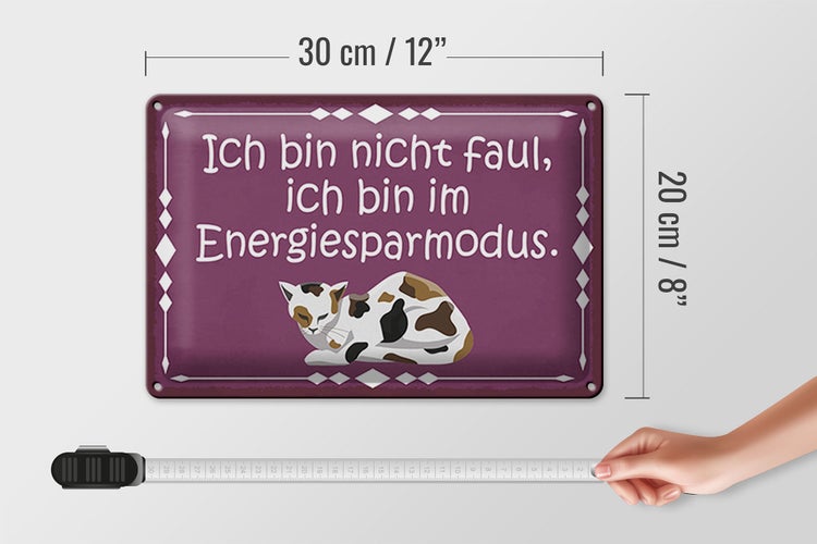 Blechschild Spruch 30x20cm Katze ich bin nicht faul bin im