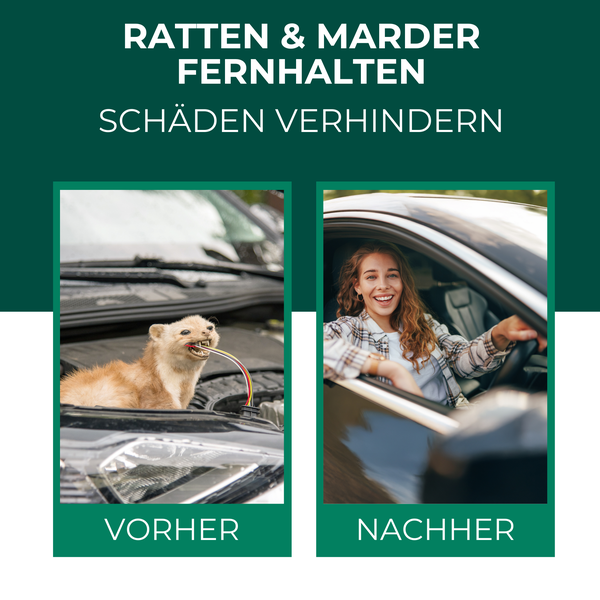 Silberkraft Ratten, Marder & Nager EX Granulat 200g, Schädlinge von deinem Grundstück fernhalten, Nagerschreck, Rattenabwehr, Mardervertreiber, Alternative zu Sprays, Gittern oder Ultraschallgeräten