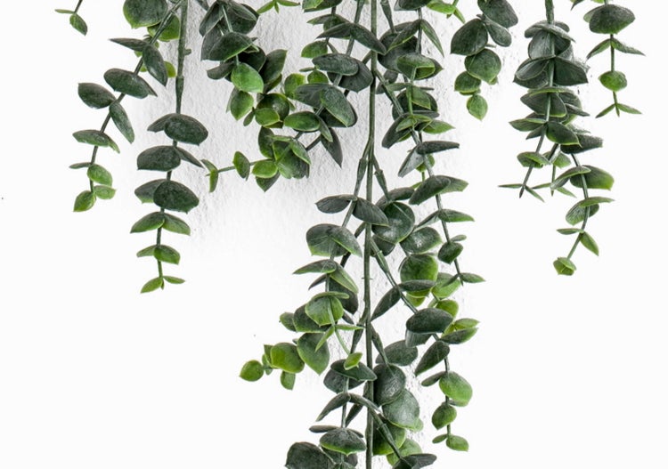 Künstliche Eukalyptus Hängepflanze zur Dekoration.