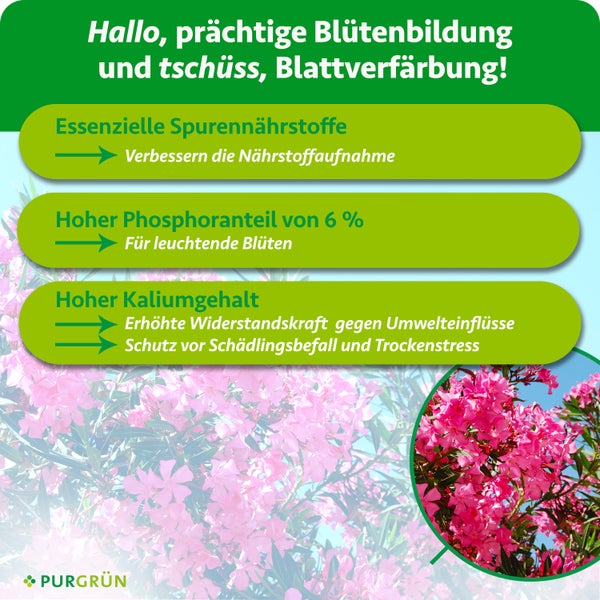 Infografik zu Düngervorteilen: Spurennährstoffe für Nährstoffaufnahme, 6 Prozent Phosphor für Blüten und Kalium für Widerstandskraft. Purgrün Logo.