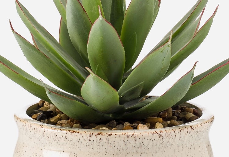Keramik-Blumentopf mit drei Füßen, zweigeteiltes Design mit gesprenkelter Glasur oben und matter Oberfläche unten, Zierkies und Pflanze.