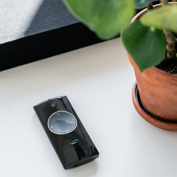 Schwarze Fernbedienung mit Timer-Funktion und kreisförmigem Tastenfeld neben einer Topfpflanze auf einer weißen Oberfläche.