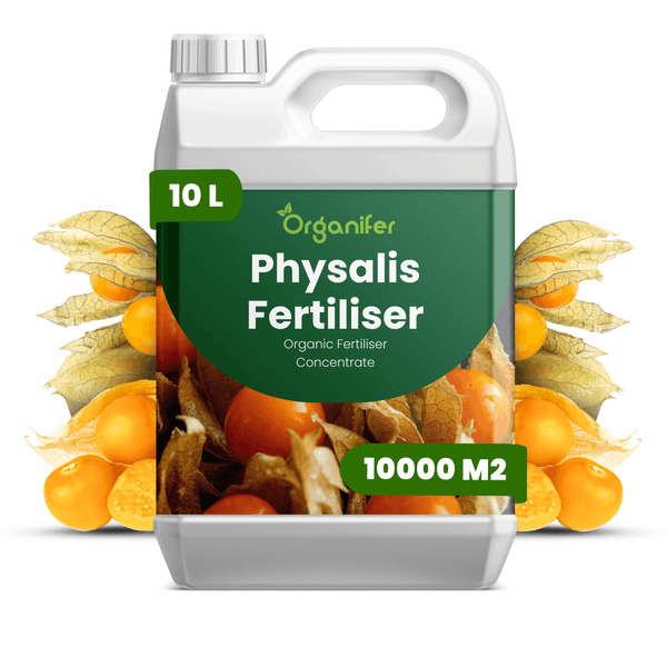 Organifer Physalis Dünger, organisches Düngerkonzentrat im 10 Liter Kanister für circa 10000 Quadratmeter.