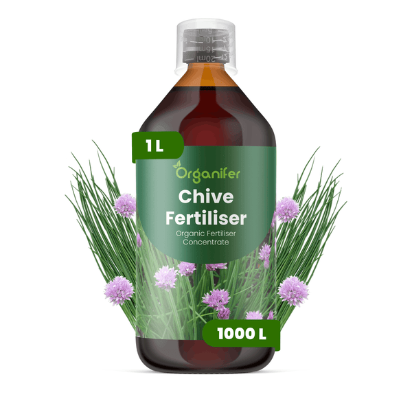 Eine Flasche mit einem Liter Organifer Schnittlauchdünger, organisches Düngerkonzentrat inklusive Messkappe.