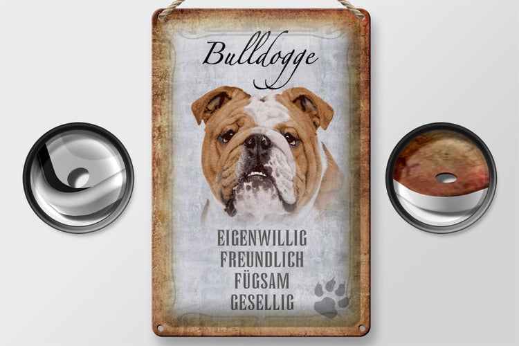Blechschild Spruch 20x30cm Bulldogge Hund gesellig Schild