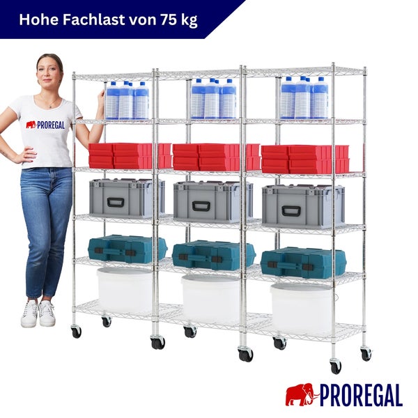 Mobiles Gitterregal mit fünf Ebenen, einer Fachlast von 75 Kilogramm und Proregal Logo.
