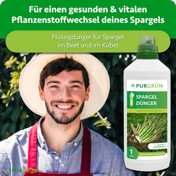 Eine Flasche PURGRÜN Bio Spargeldünger, 1 Liter Flüssigdünger für gesundes Pflanzenwachstum.