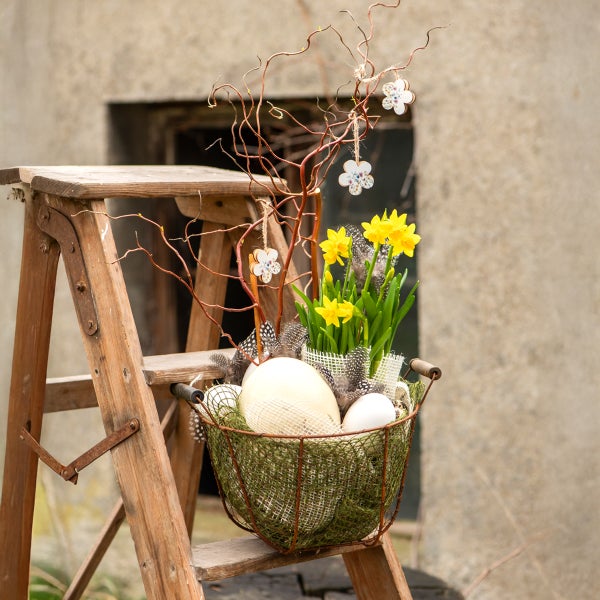 Osterdekoration mit Narzissen, Federn und Eiern in einem Korb auf einer Holzleiter