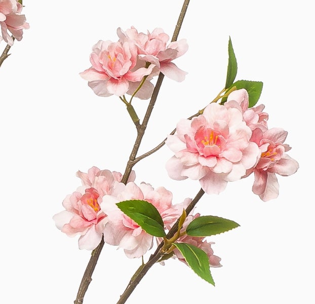 Nahaufnahme eines künstlichen Olivenbaums mit Oliven und grünen Blättern