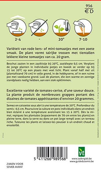 Informationen zu Cherrytomatensamen