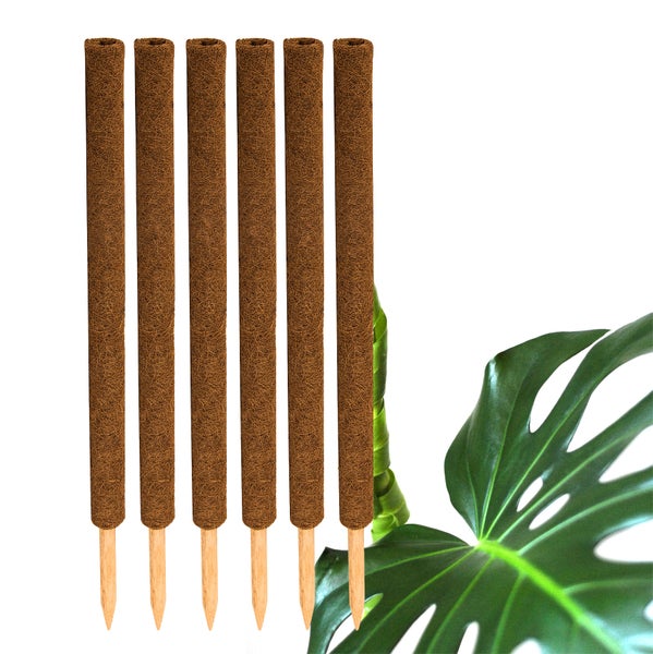 BigDean 6er Set Pflanzstäbe Kokos 80 cm - Monstera Rankhilfe Rankstäbe Stab Moosstäbe Pflanzenstäbe Kokosstäbe für Pflanzen - aus natürlicher Kokosfaser - verlängerbar