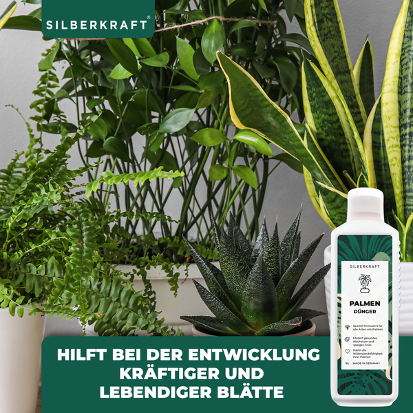 SILBERKRAFT Palmen Bio-Dünger – 1 Liter