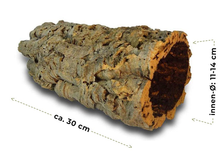 Natürliche Korkröhre für Terrarien, Länge circa 30 Zentimeter, Innendurchmesser 11 bis 14 Zentimeter.