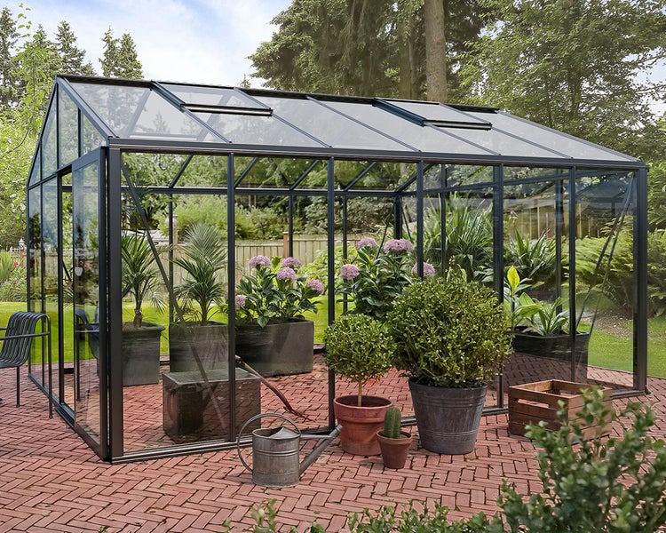 Modernes, geräumiges Gewächshaus mit schwarzem Metallrahmen und Glas auf einer Ziegelterrasse, umgeben von Pflanzen und Bäumen in einem Garten.