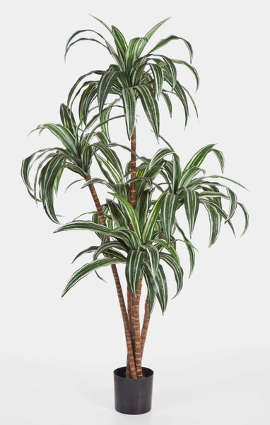 Künstlicher Drachenbaum Dracaena mit grün-weiß gestreiften Blättern in schwarzem Topf.