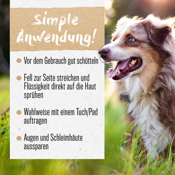 Heizstabregler zur Temperaturkontrolle