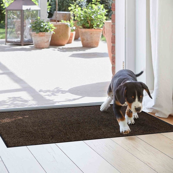 Fußmatte im Innenbereich mit Hund vor geöffneter Terrassentür