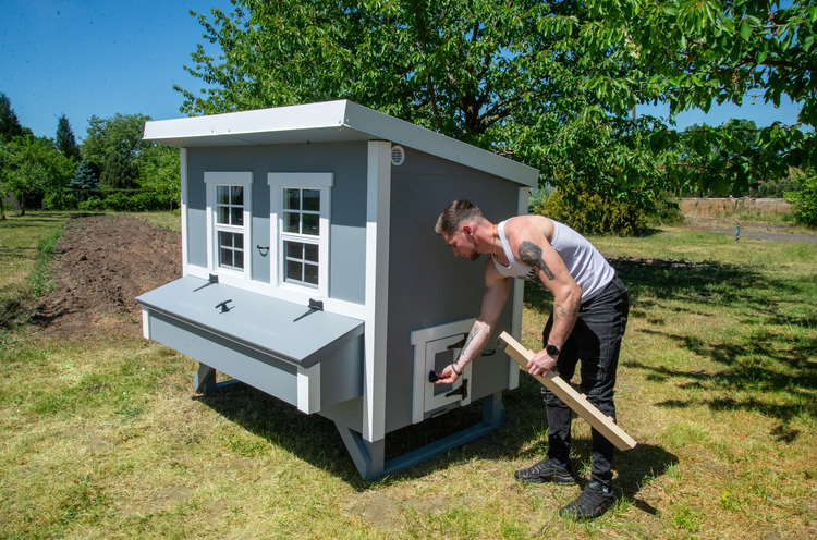 Ein Mann öffnet die Klappe eines grau-weißen Hühnerstalls aus Holz in einem Garten.