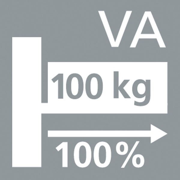 Symbol für Tragfähigkeit bis 100 kg bei 100 % Auszug